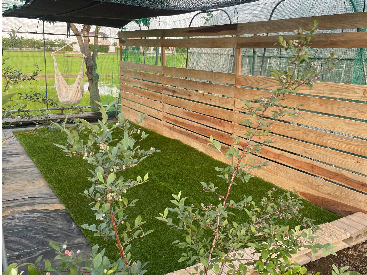 �s�N�j�b�N�X�y�[�X�L��@�����������OK