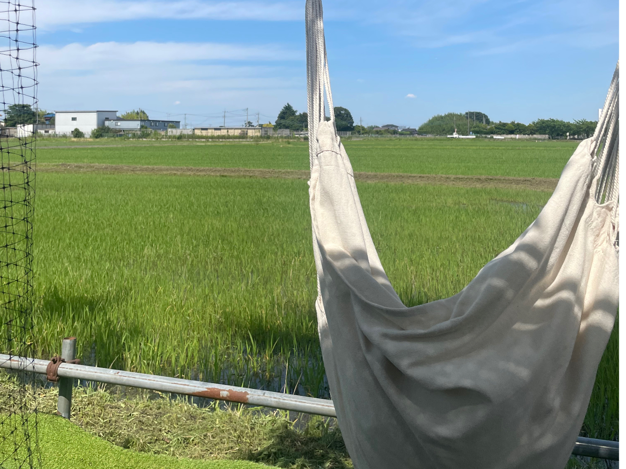 �s�N�j�b�N�X�y�[�X�̊O�Ƀn�����b�N����I�c��ڂ𒭂߂Ȃ���̂�т�o���܂���