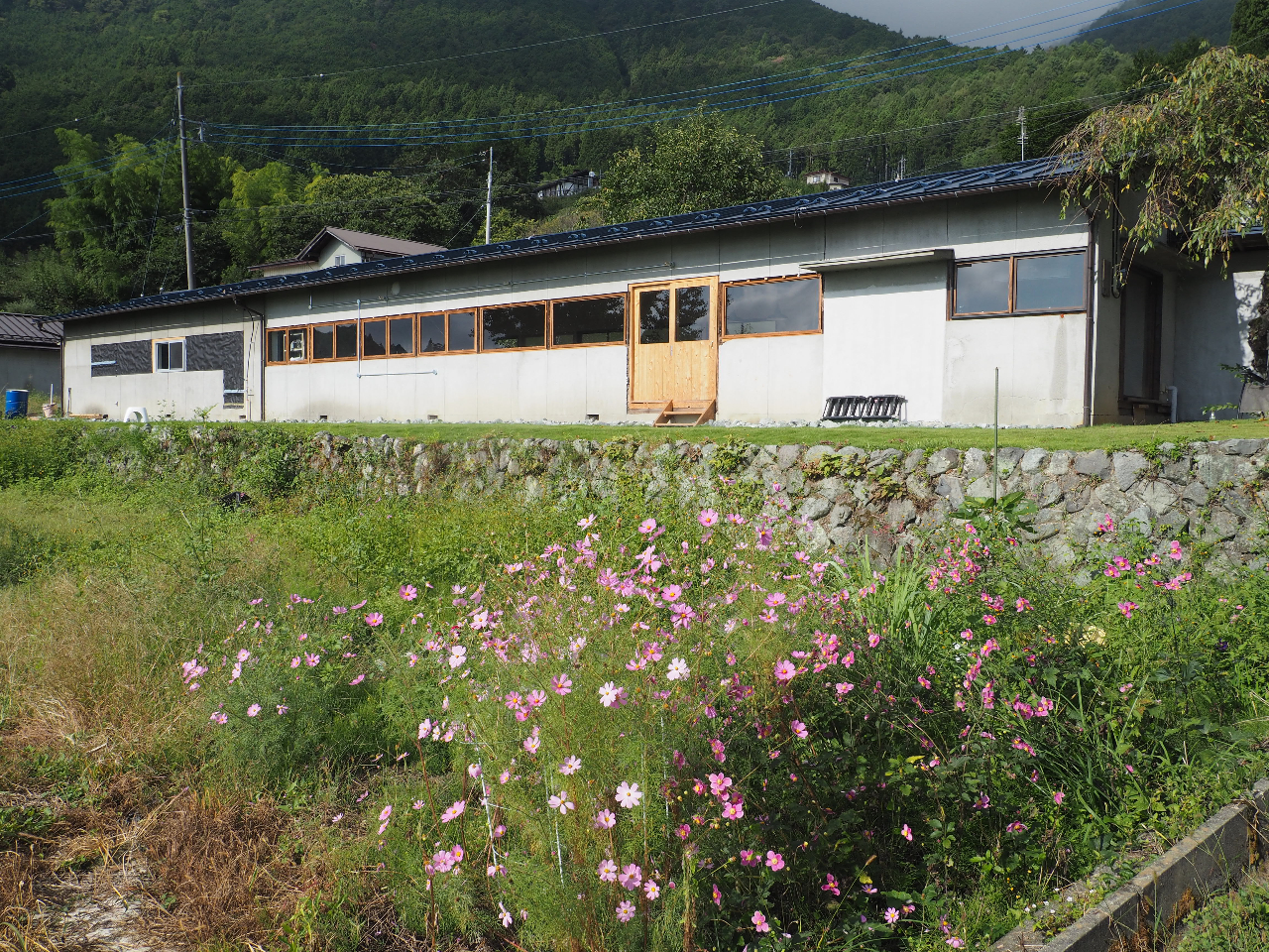 カフェ前の芝生が 足湯の場所です