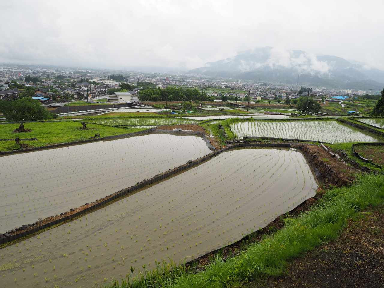 ꂢȋCƂꂢȐA܂ɒ_ňŔA