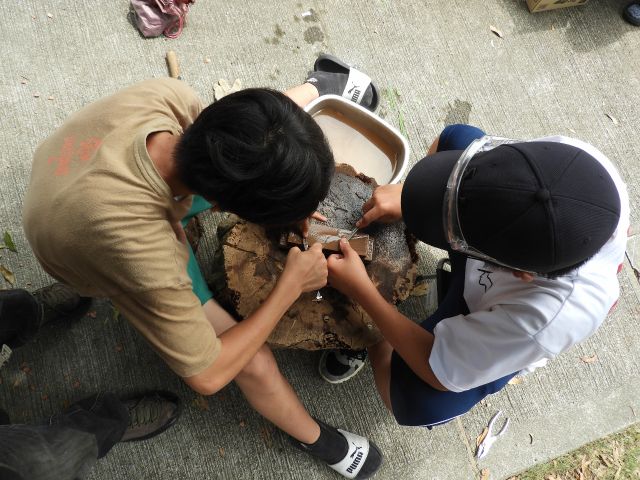 研ぐ