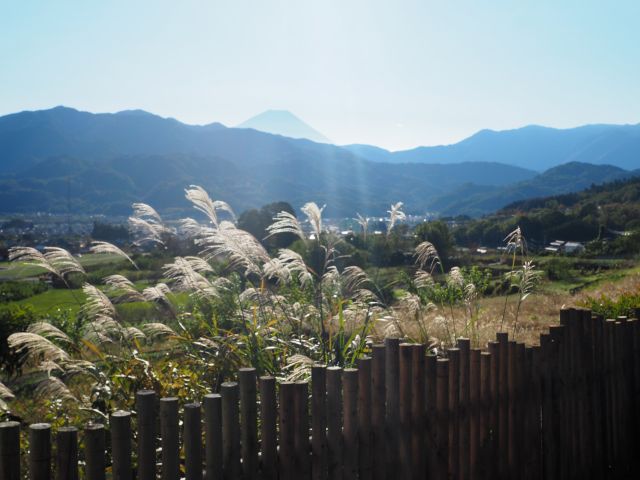 気持ちの良い里山が体験場所