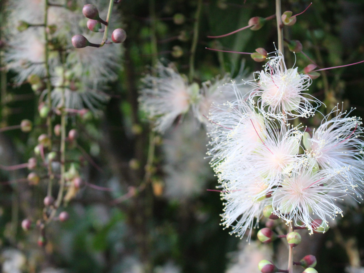 G߂ɂ炭Ԃ͗lXB@ł炽ȂA݂܂B