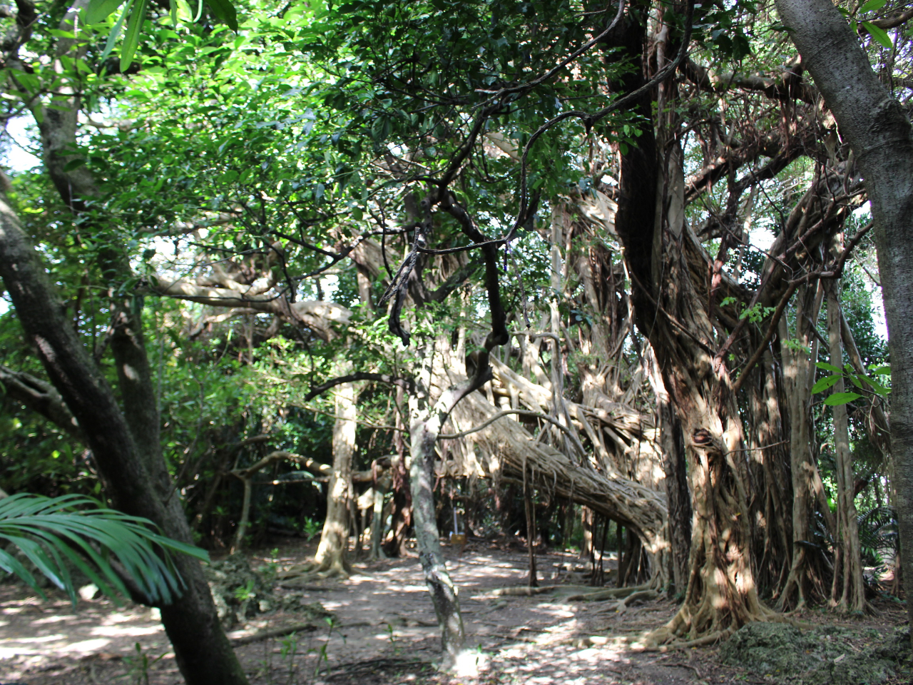 ͎Rqł؂ɂĂ܂B@n̕X[M鎩REԁEq͌hӂ𕥂ȂAÂɂē܂B