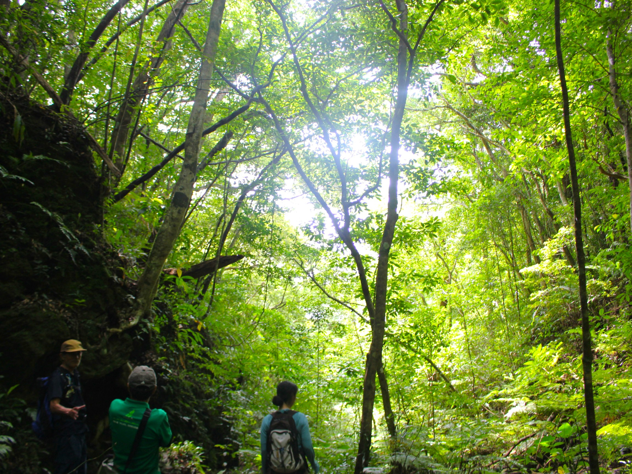 C͗͂AX͈炬^Ă܂B@}CiXCIՂ̐XɂsĂ݂܂傤B