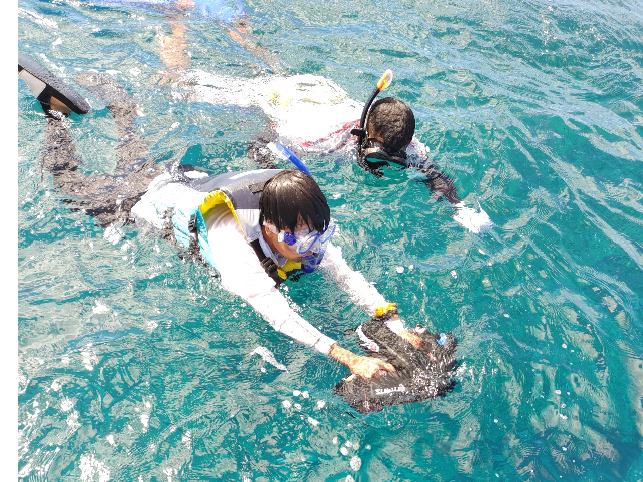シースクター体験 時速はオリンピック選手並みに出ます