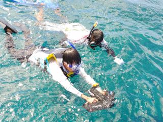 シースクター体験