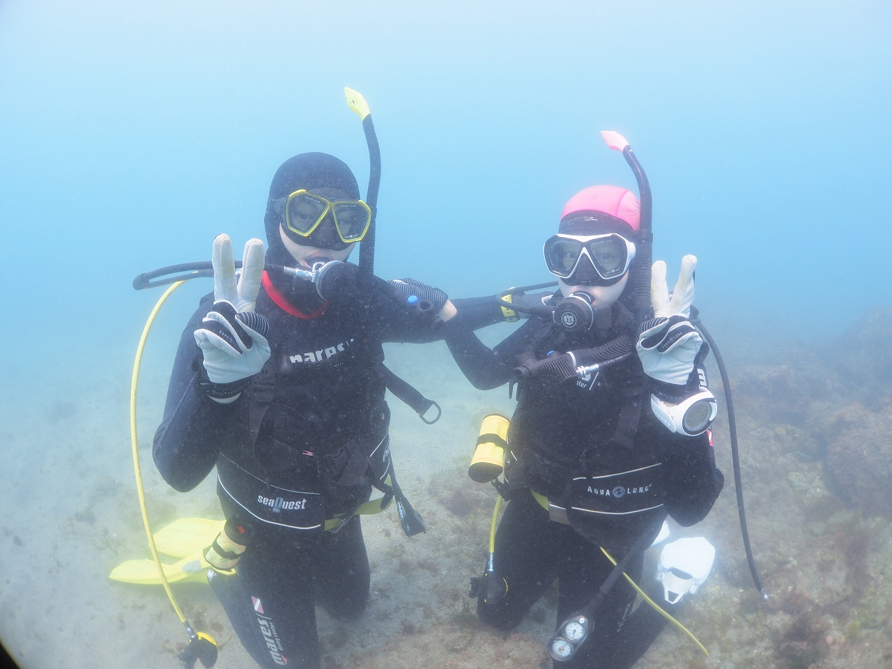 館山の海を水中からお楽しみください♪