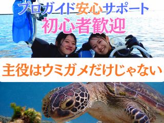 天然水族感にいる全ての生物が主役級です。あなたはどんな生物を探したい?ウミガメ?クマノミ?恋愛運アップ魚?金運アップ魚?