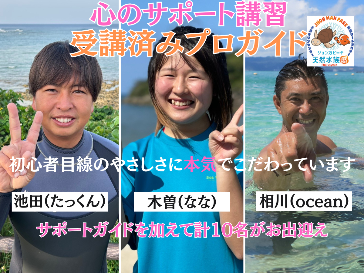 vKChFl̑ŏ펞T|[gĂ܂B