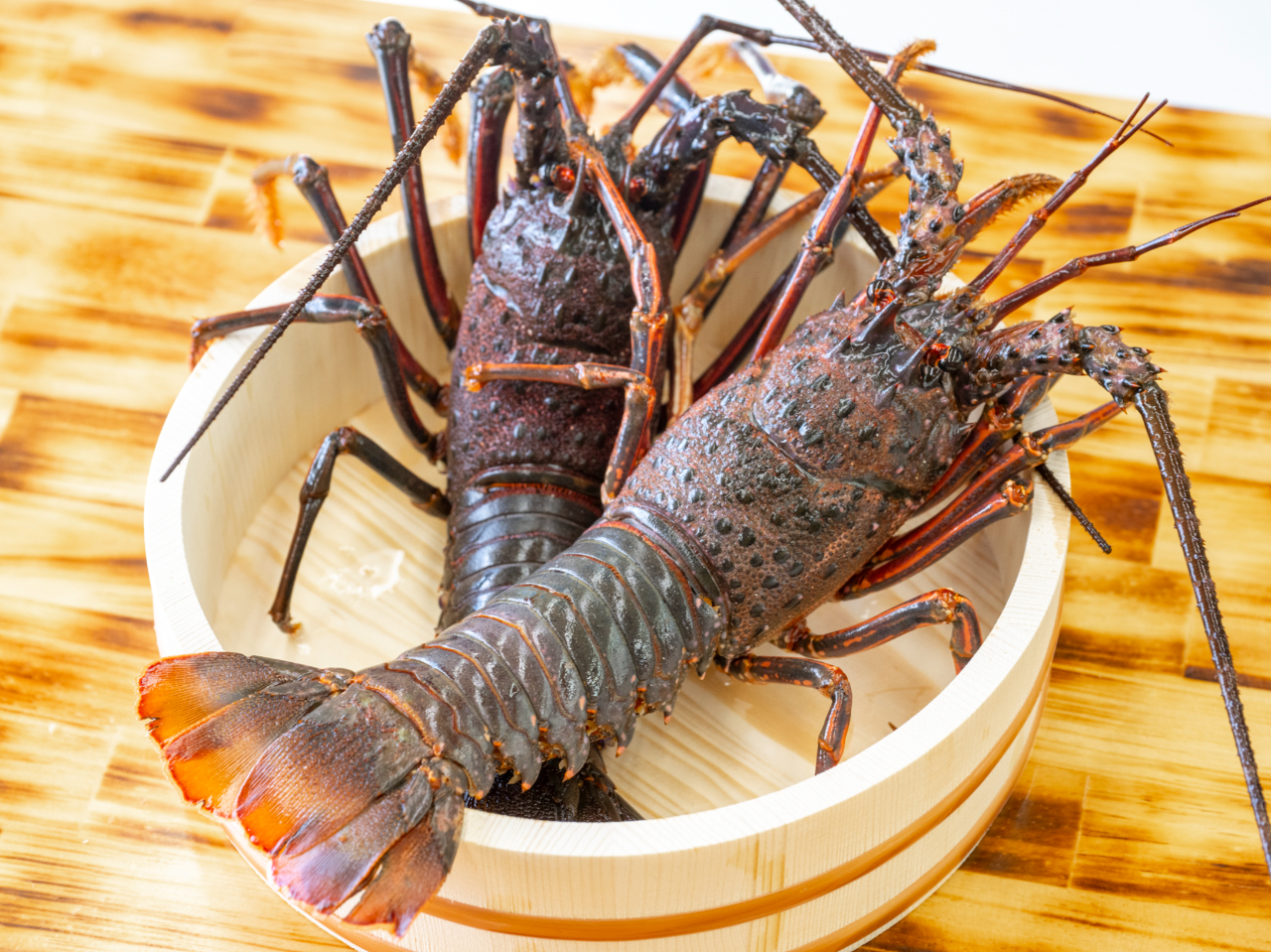 じゃらん限定】伊勢海老・かき焼きなど、海鮮BBQプレミアム