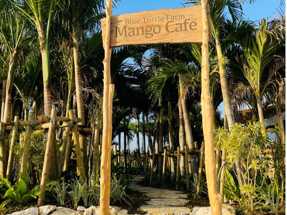 u[^[gt@[ }S[JtFXܑȌWꏊ