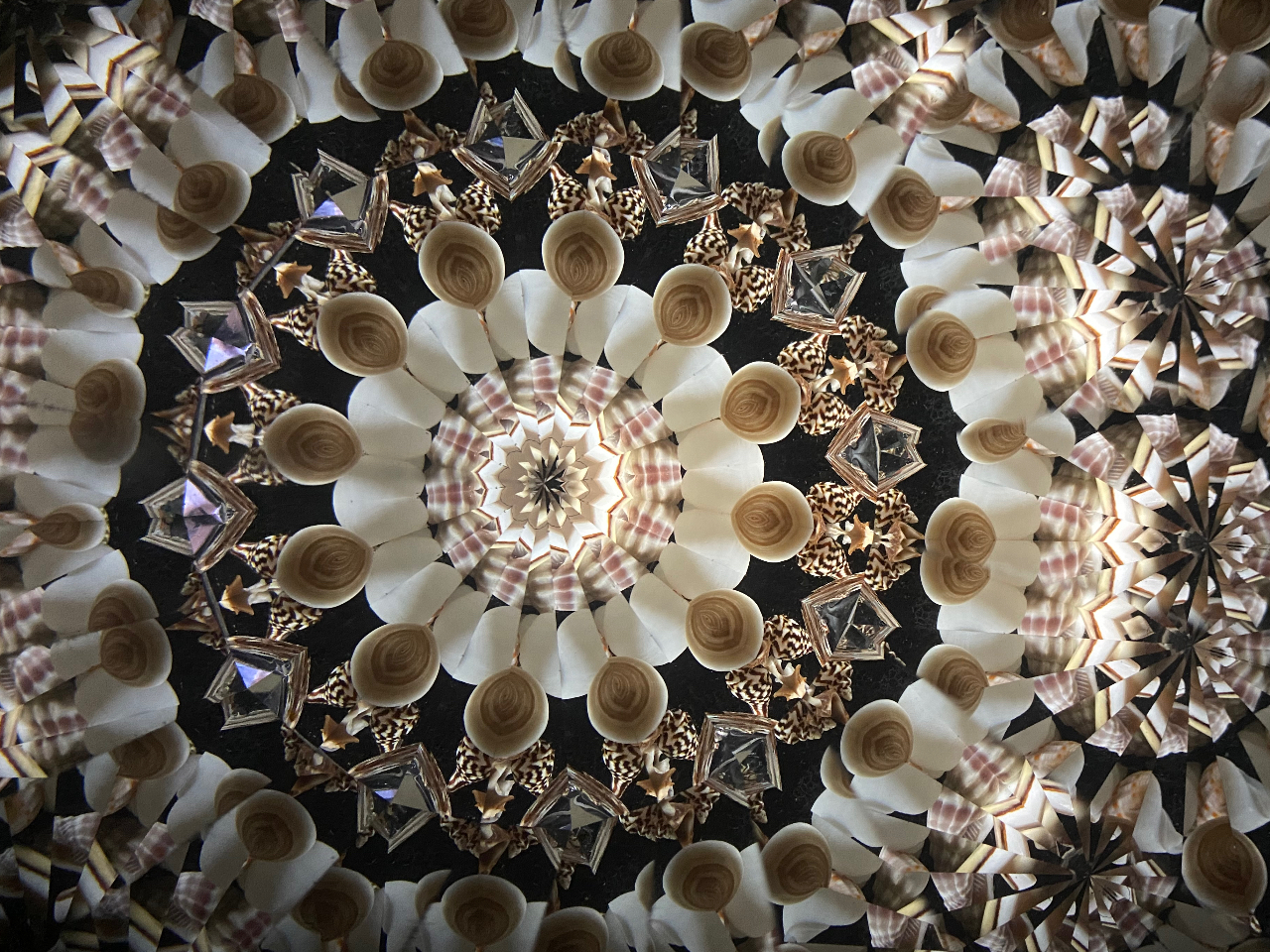 貝殻を入れてみたり…。