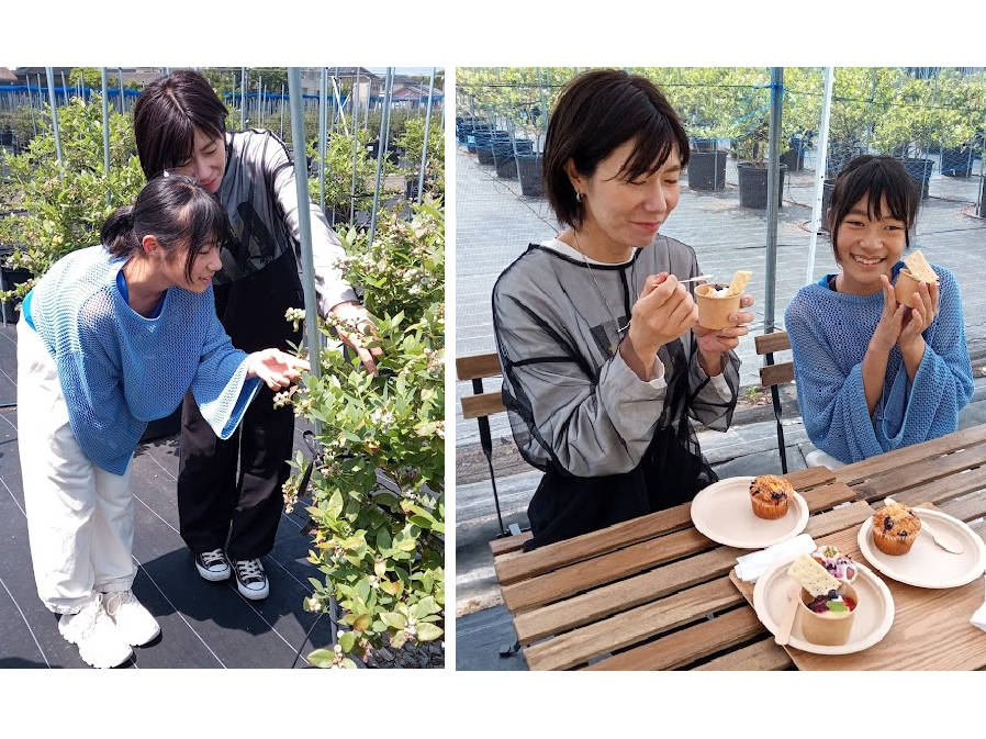 2025年6月~8月 那賀川BLUEBERRY みき農園 完熟ブルーベリー狩り(...