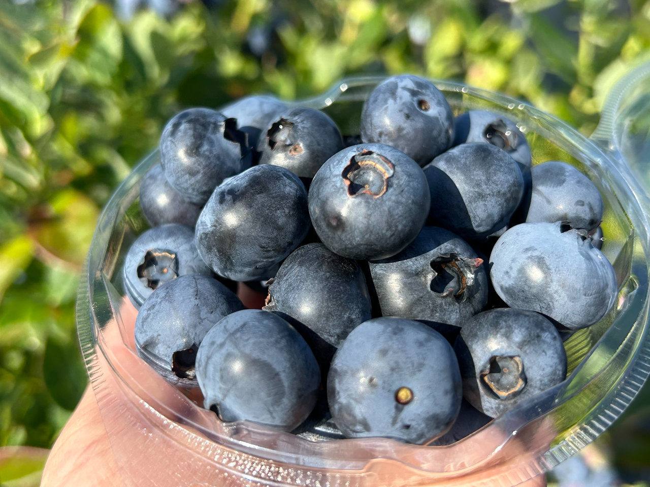 �݂��_���̎ʐ^3