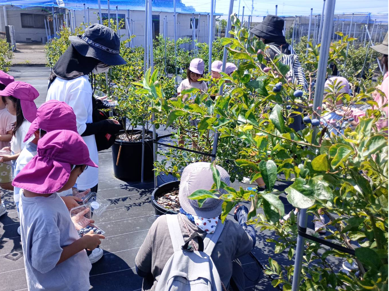 �݂��_���̎ʐ^4