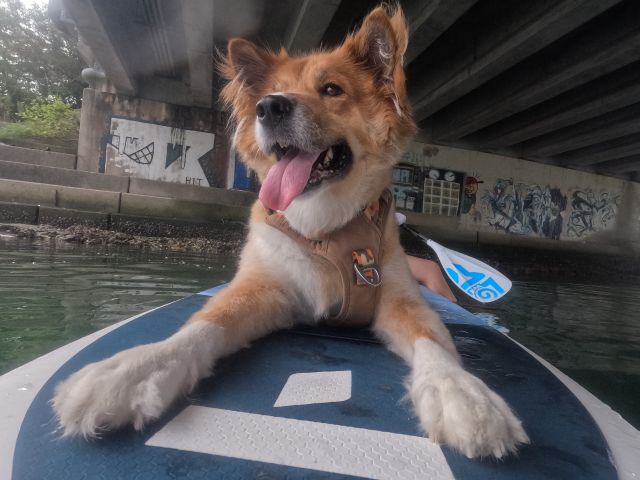 SUP