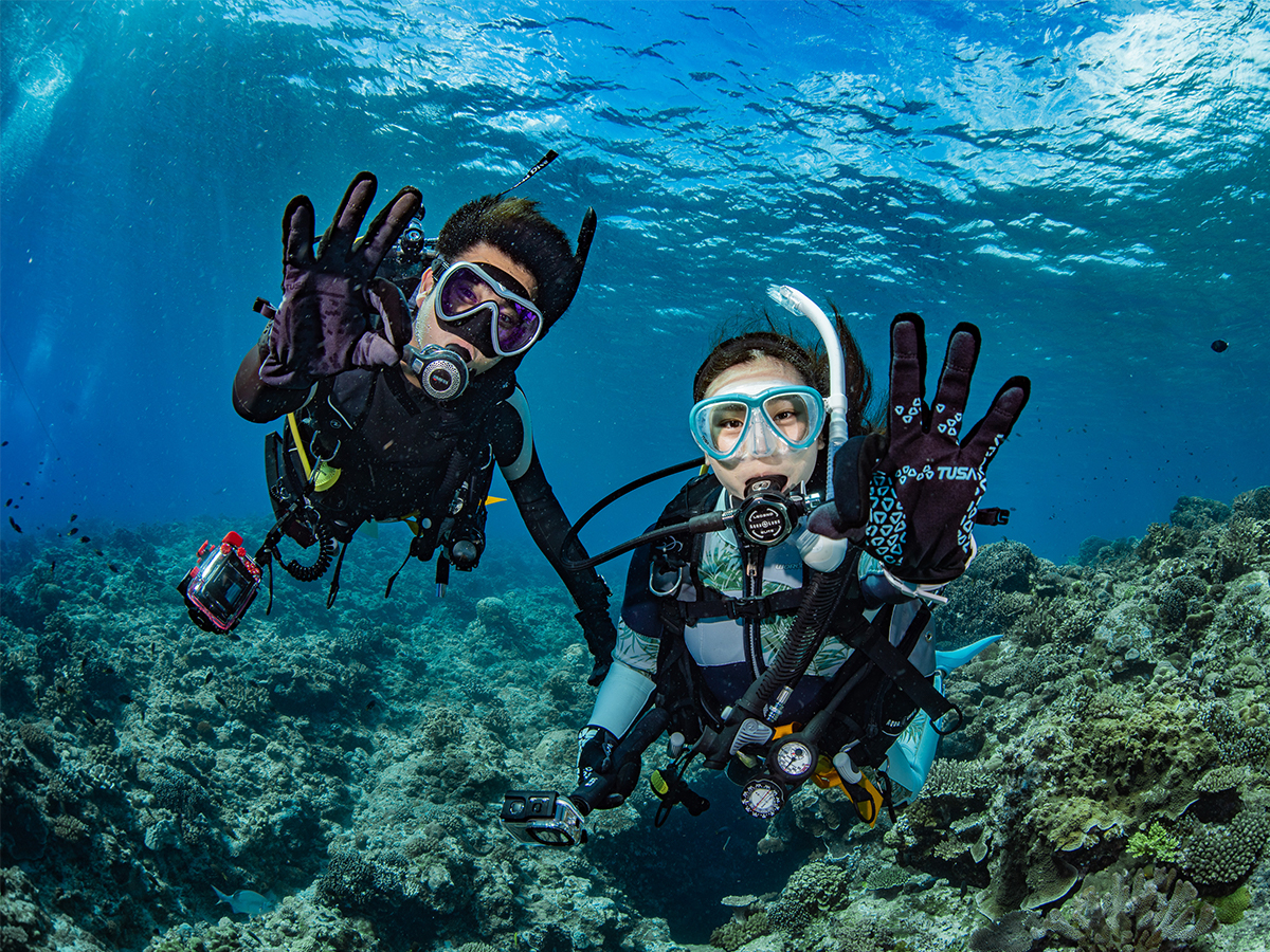 ̔TSʂJtȋɈ͂܂đ̌_CrOI