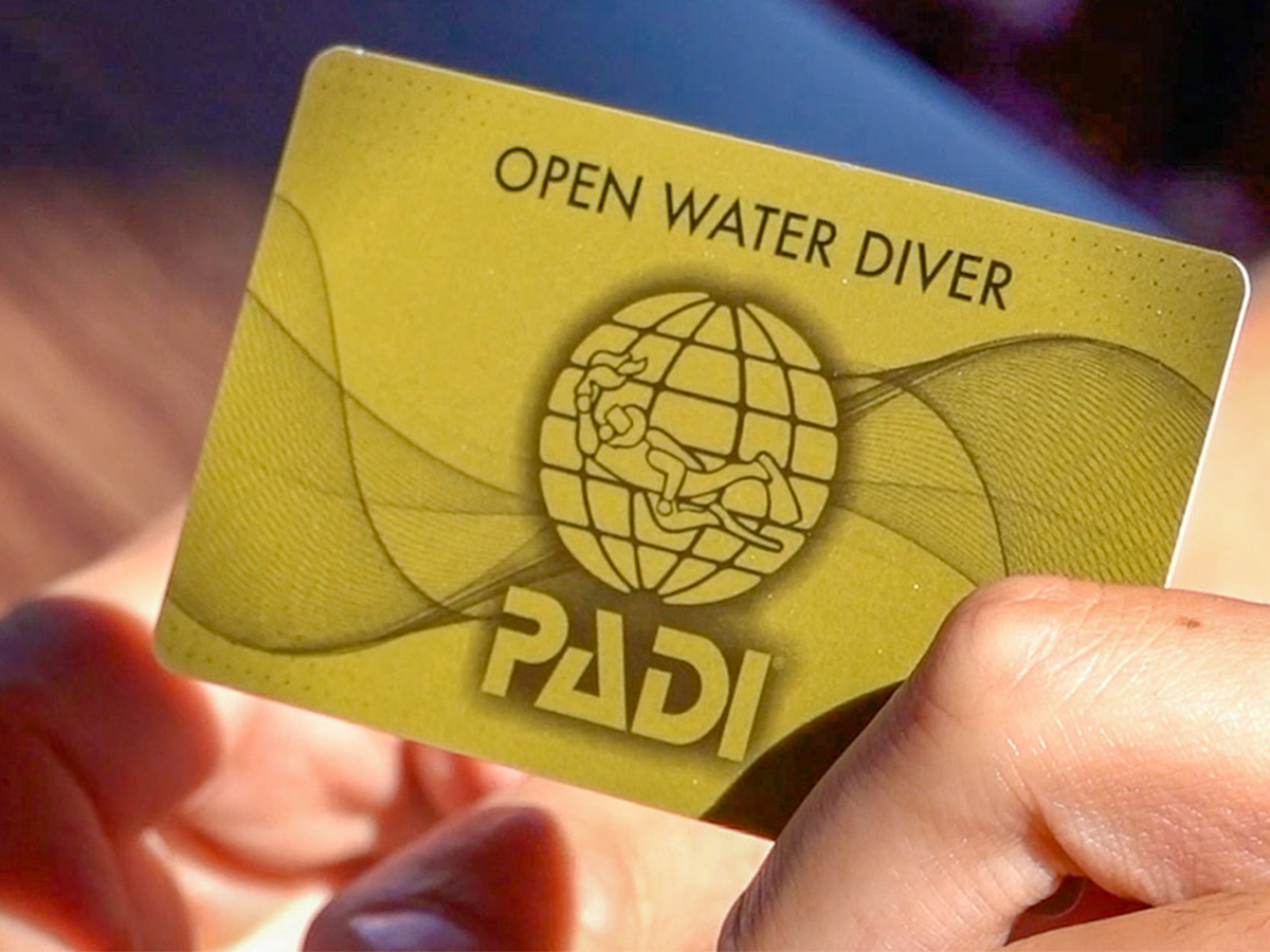 yS[hJ[h̃Xe[^X zppMł͐Eő̃_CrOwcPADĨS[hJ[h𔭍sBSƃXe[^XႢ܂B