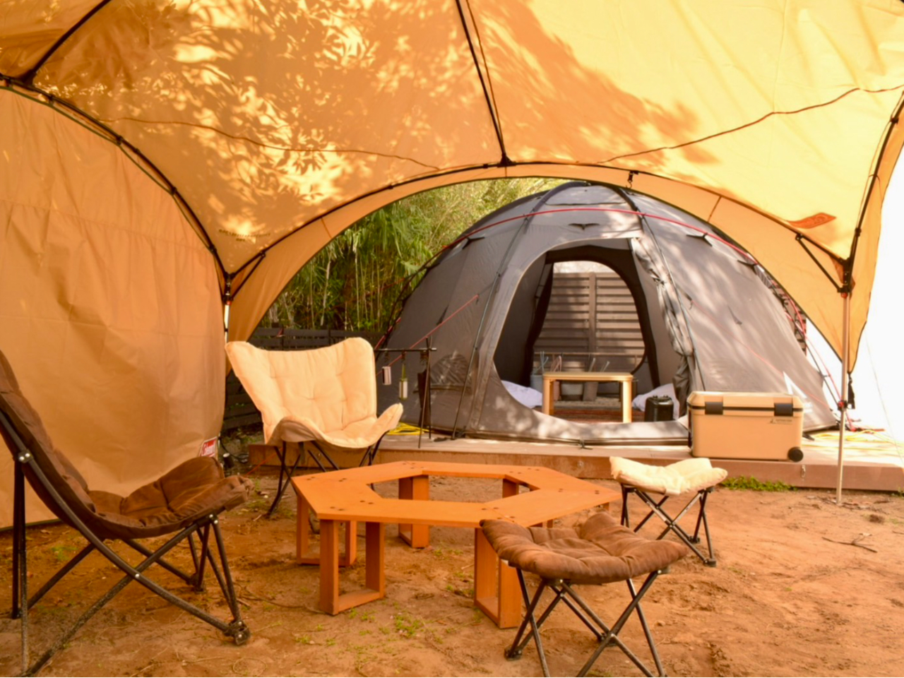 AEghAȋC𖞋iɁA؂ɖʂ莩R邱ƂłʋԂɁA11g̃xegpӂ܂B