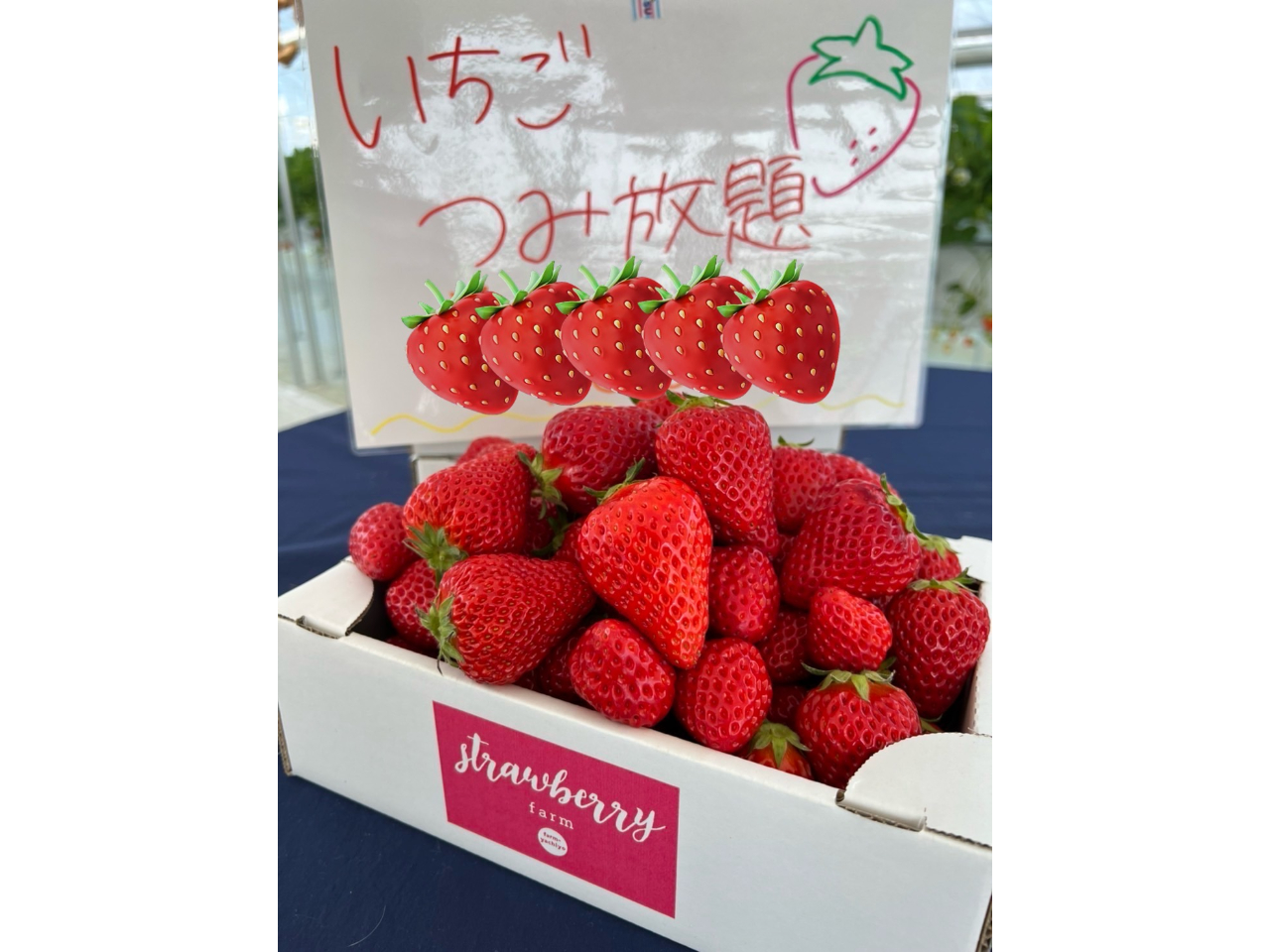 平日割引プラン】【天空いちご】《2025年12月スタート》最大7品種40分