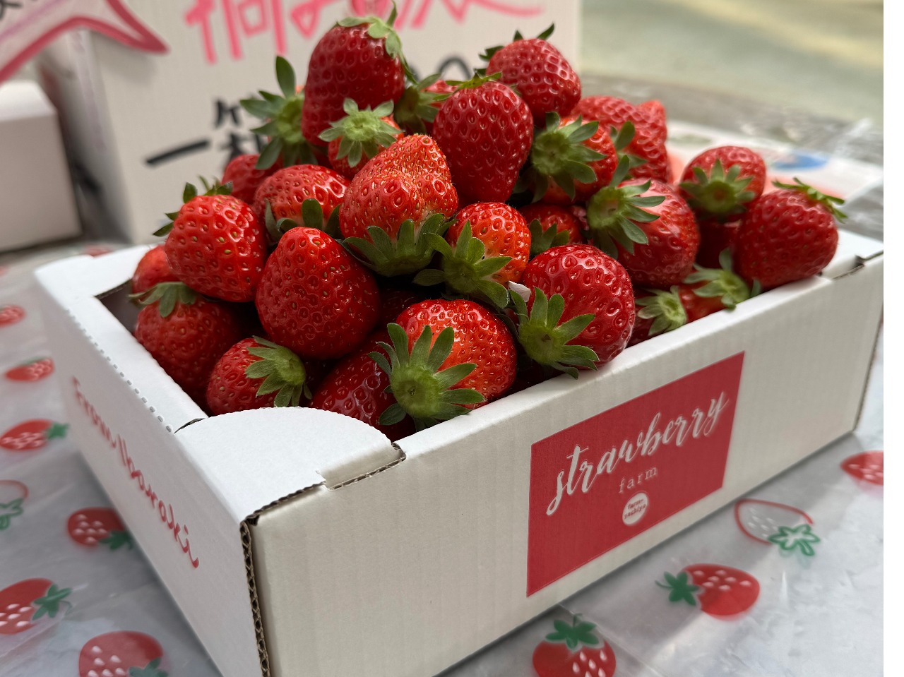 DȕiIIDȂIIEݎX^[g܂