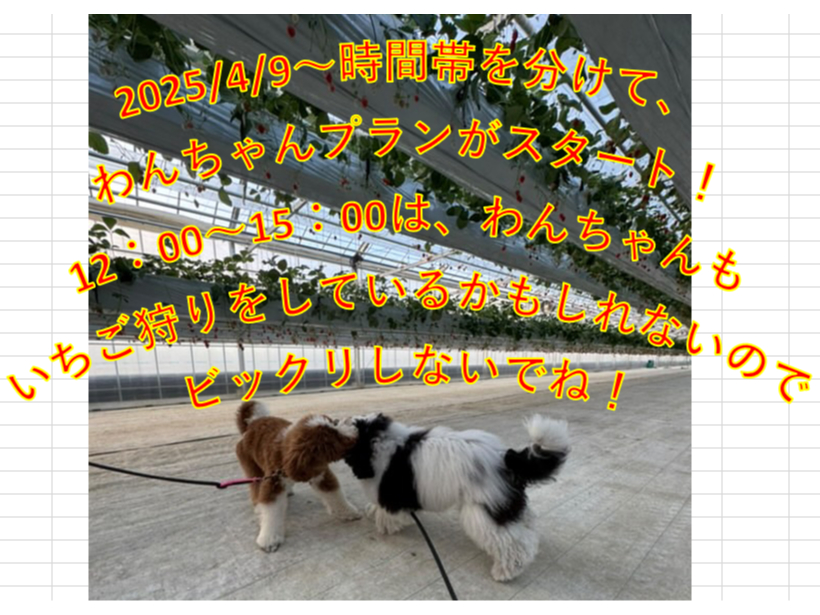 ���������v�����n�܂�܂��I�I���ԑѕ������Ă���܂��I�I