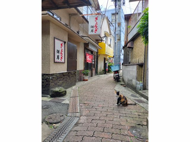 別府駅周辺には路地がたくさん!