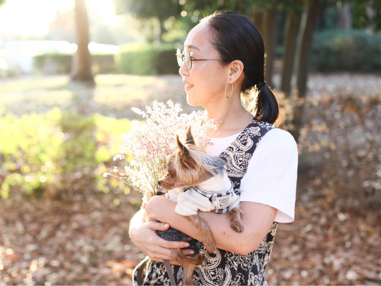 看板犬がいるお店