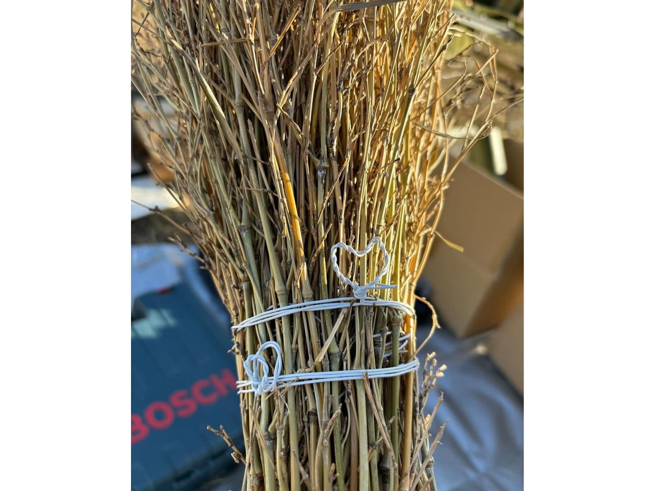 かわいく束ねるのもいいですね!