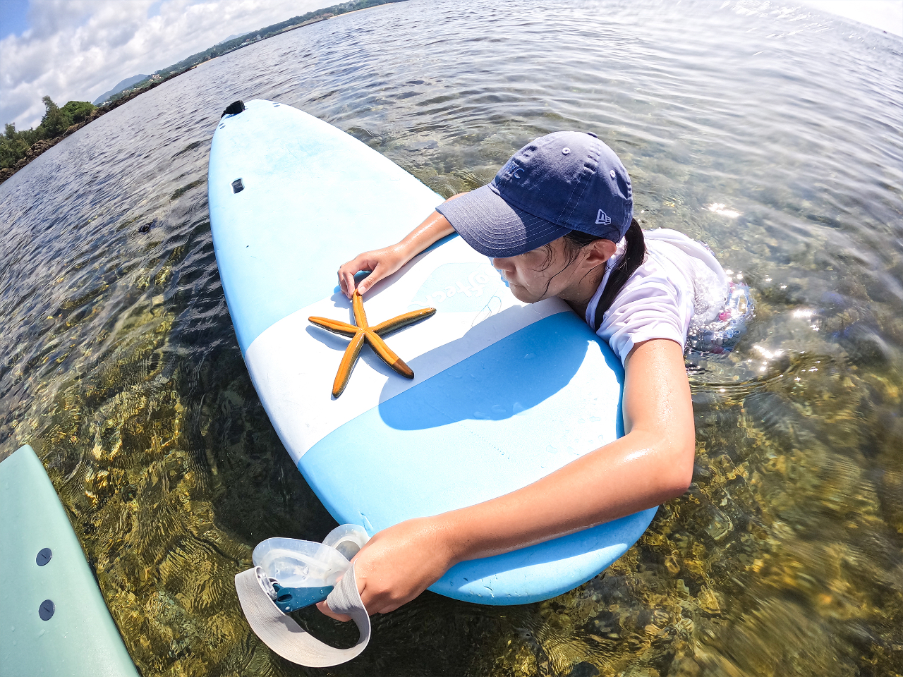 C̐Ƃ̐Gꍇł܂Bw??qgf𔭌!?x