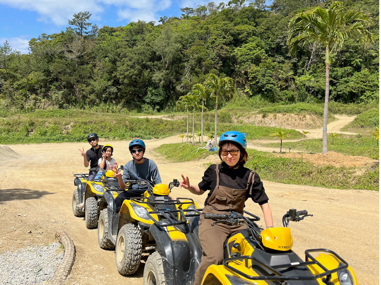 �v���o�̎ʐ^���p�V�����I