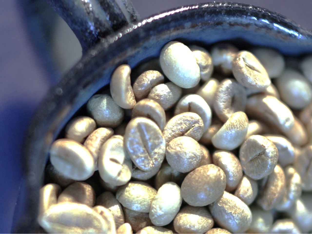 ̐łBƍ荂蓤ɂȂ܂B