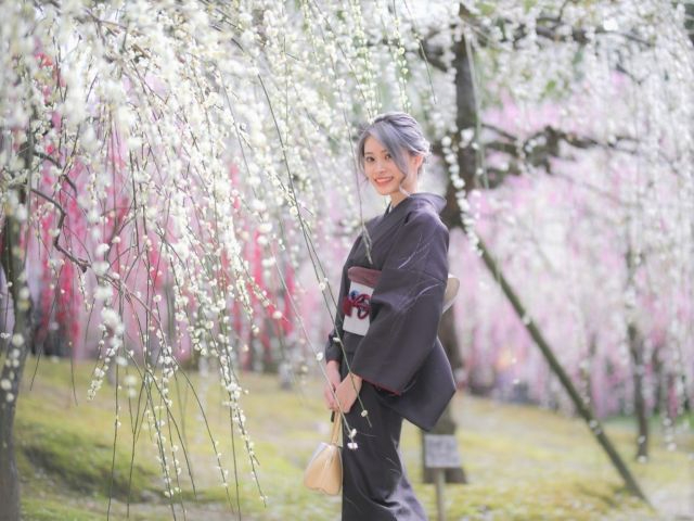 シックな着物もご用意しています。