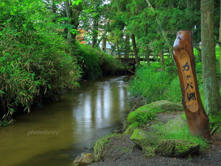 �����ϕ�