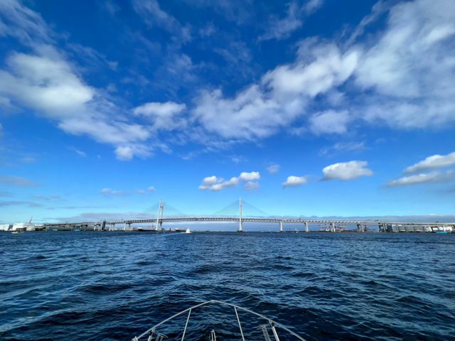 普段見ることのできない角度から横浜を一望できます!