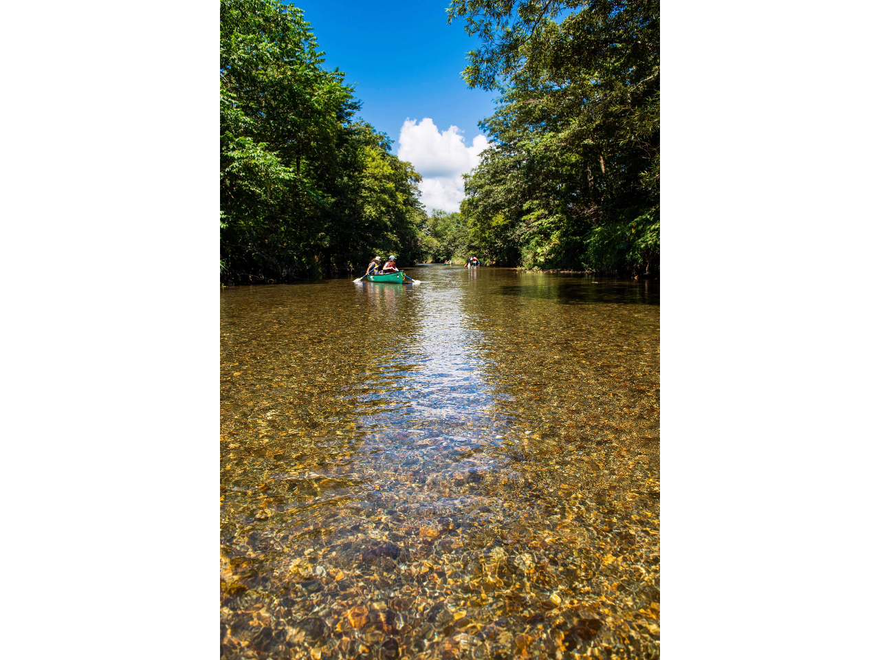 【函館|汐泊川カヌー】のんびり大自然を探検 2時間探検コース~3歳から参加OK!
