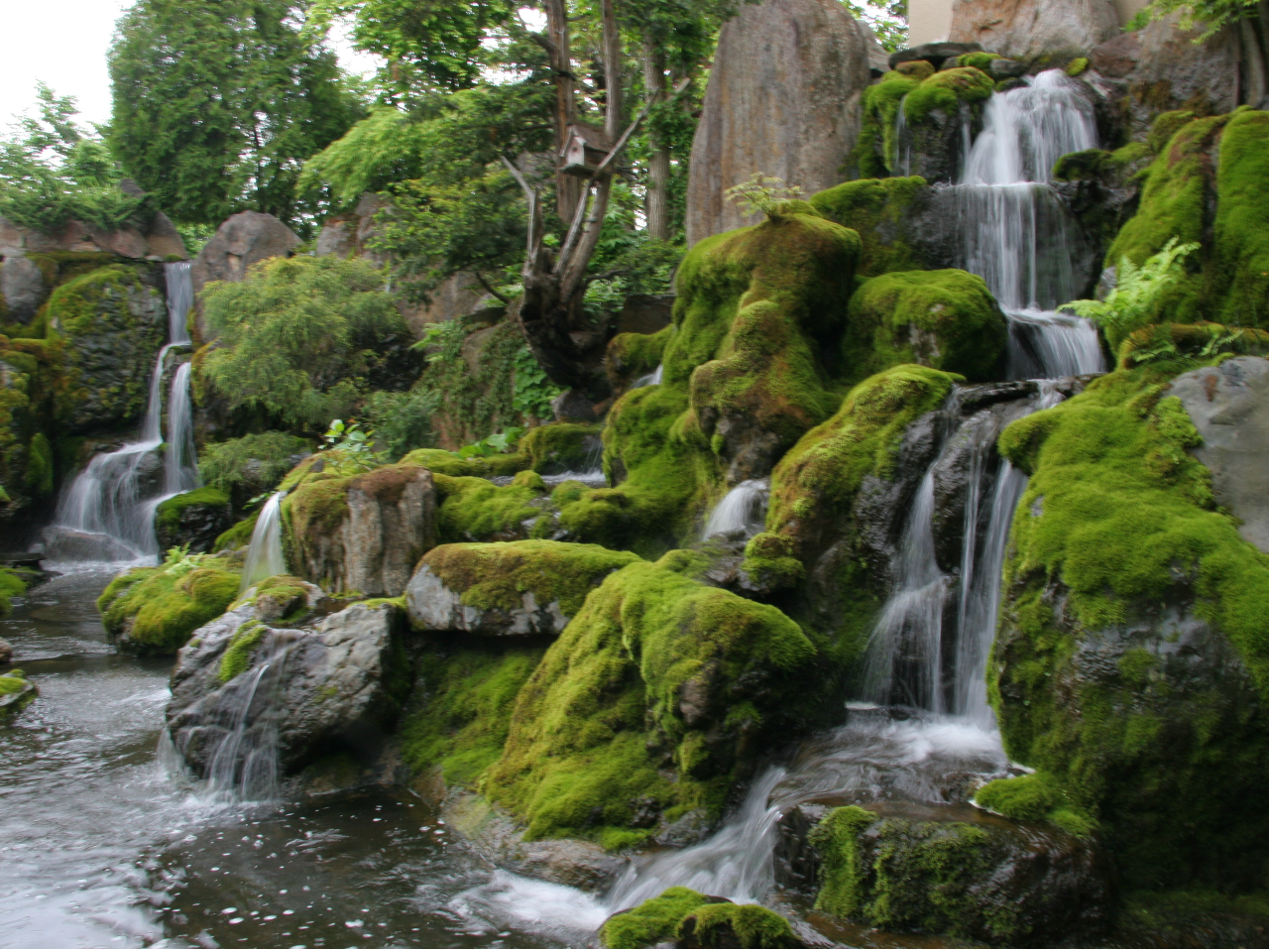 G߂̈ڂ낢̒́AG悤A̔ĂƁACÔq܂ɂlC܂B