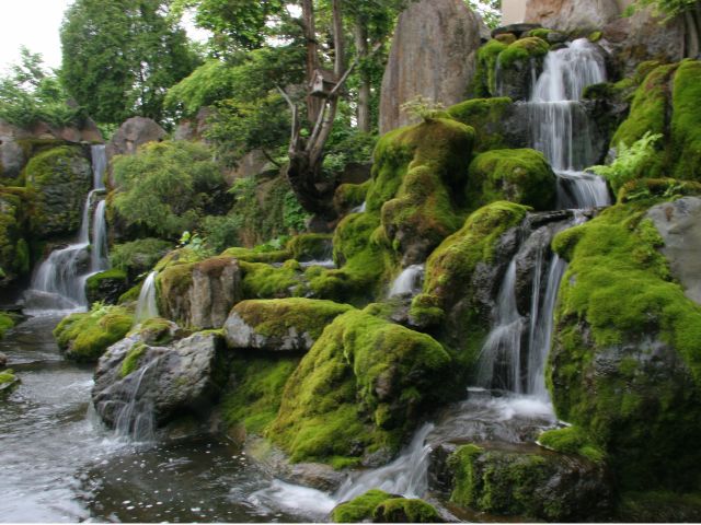 流れる滝や季節の移ろいが美しい扇松園の庭は、絵画を見るようだ、旅の疲れを癒してくれると、海外のお客さまにも人気があります。