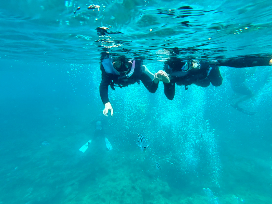 �X�m�[�P��