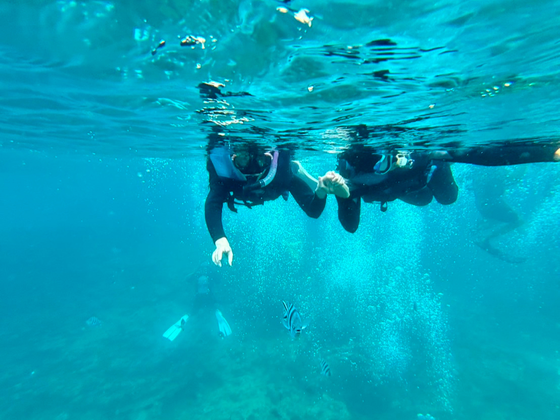 �X�m�[�P��