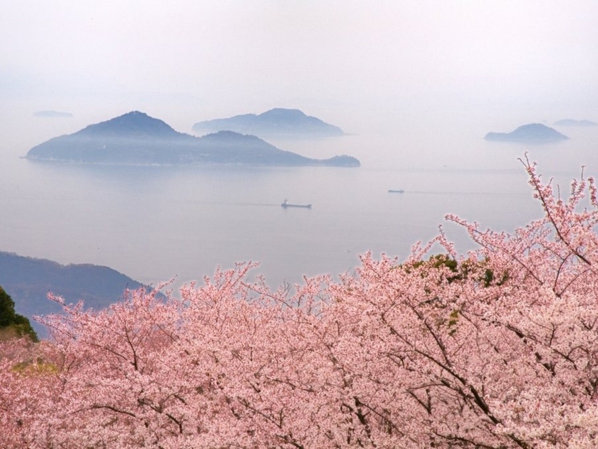  3{4{ɂẮARӂɖ1,000{̍炫ւAsN̍Ɛ˓CƊC̐ixɊyނƂł܂B