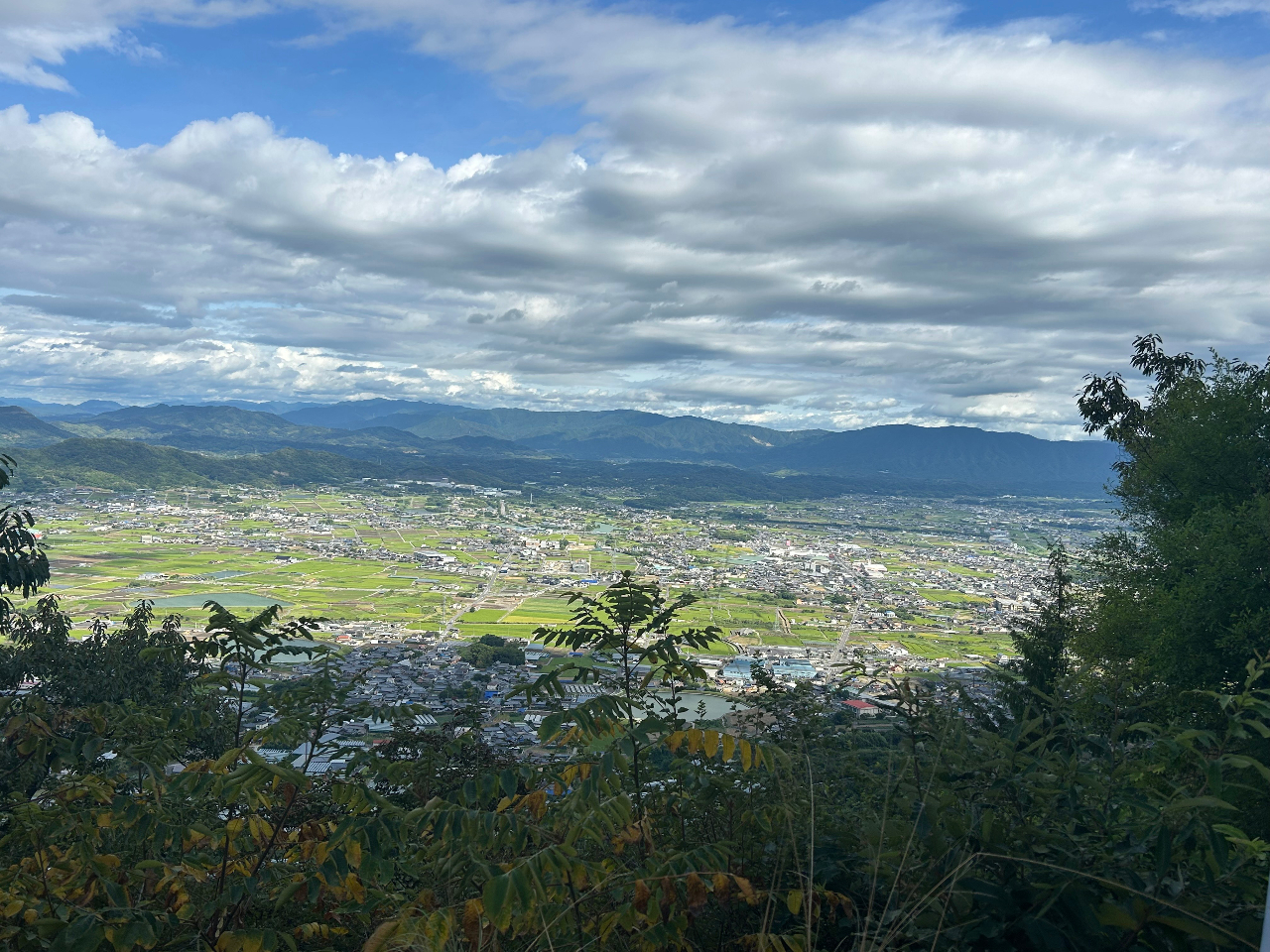 �ѓ�������܂��B�ቺ�ɂ̂ǂ��ȓc�ɂ̕��i���L����܂��B