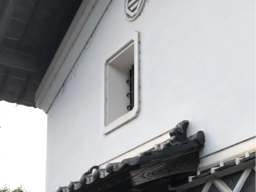 z115N̑mx[V܂BĂ͗~͉yžĂ݂ĂB