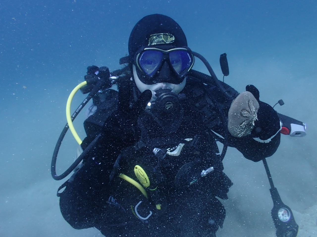 THE WIND DROPS�̎ʐ^2