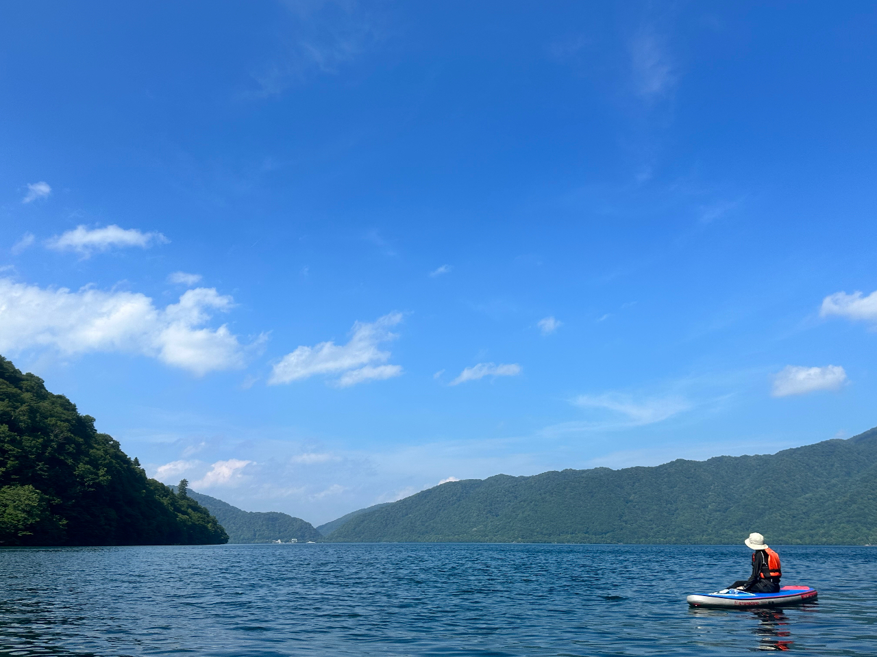 �厩�R�̒��Ƀ|�c����1�l���C�����ǂ��ł��I