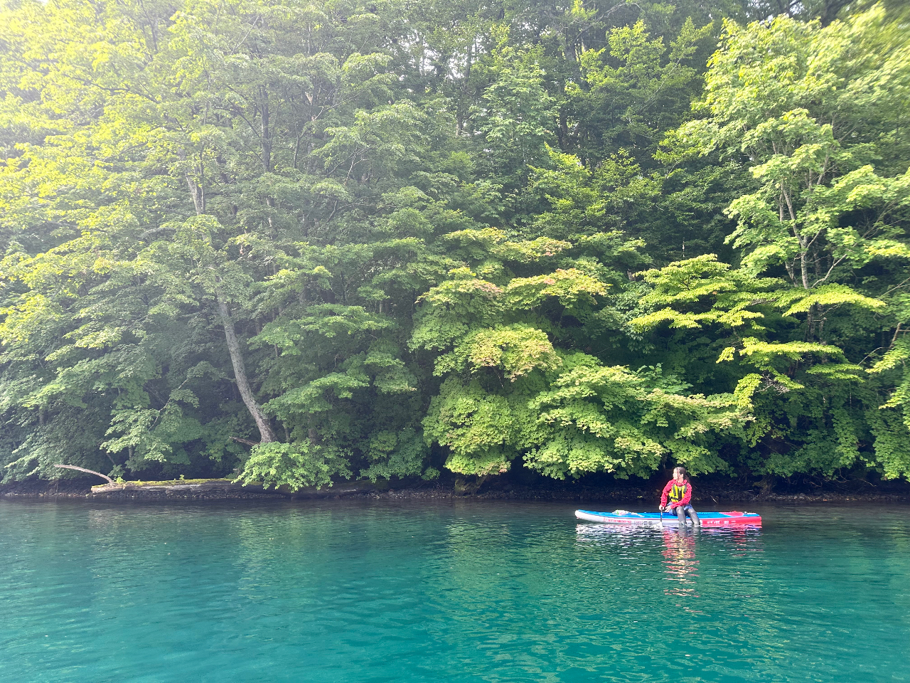 ���R�ɗn����d ����Ȏ���