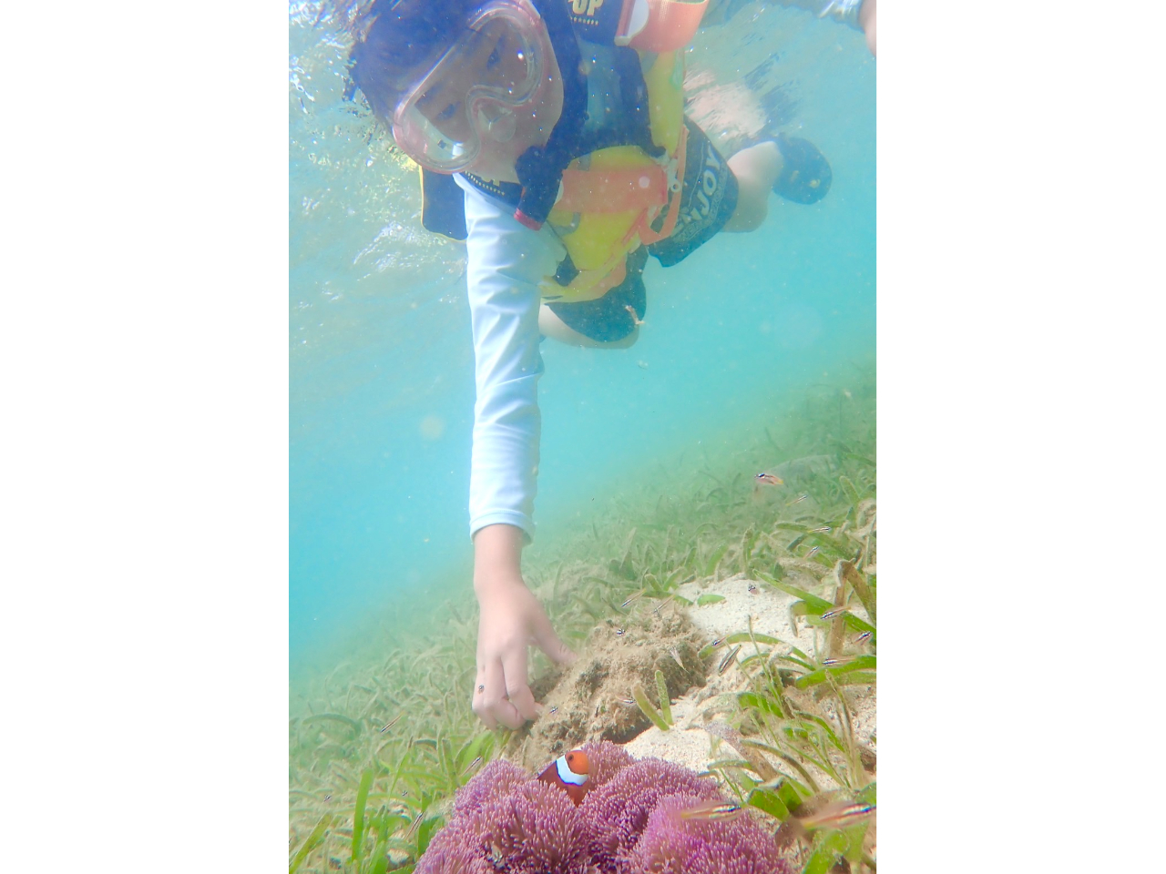 ꂽ󐣂ɂJNN}m~ƂȎʐ^B邱Ƃł܂I