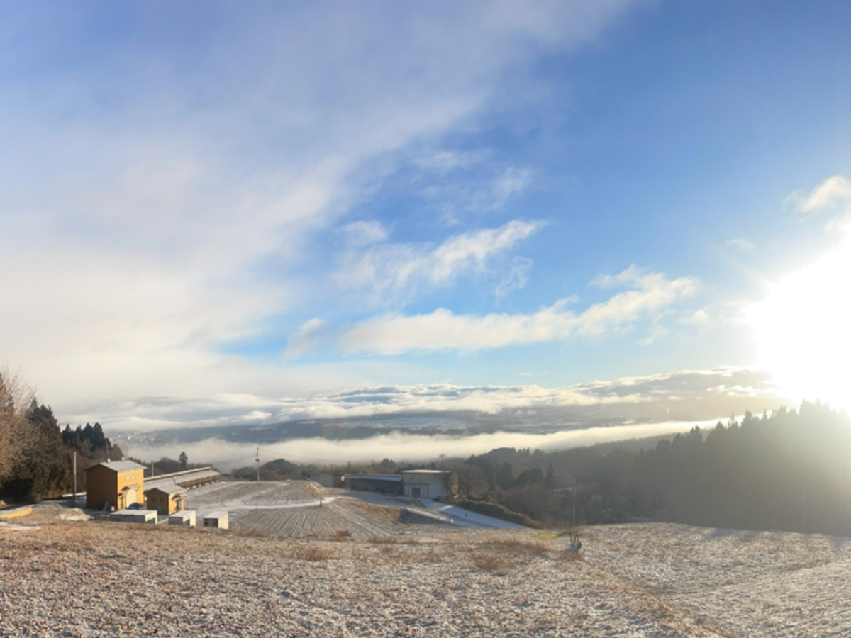 �_�C�ɕ�܂ꂽ���c�̊X���݂��ቺ�ɖ]�ށA�W���܌܁Z���[�g���̔_��B���̋󂩂珸�钩�����������ƍ������݁A���񂾋�C�̂Ȃ��ŐÂ��Ȉ�����͂��܂�܂��B