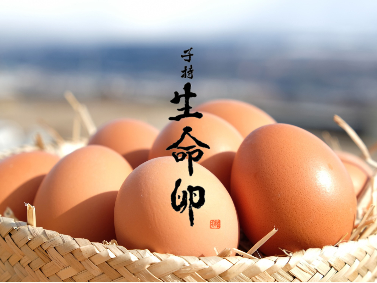 ���R�{�{�ł̂т̂ш�����{���Y�ގq���������B�L�݂��Ȃ��L���Ȏ|�݂Ɛ��񂾖��킢�ŁA�{�̊�����X�̊Ǘ��̐ςݏd�˂����̂܂ܗ��̕i���ɔ��f����Ă��܂��B